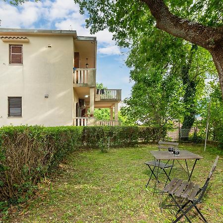 Apartment Vladimir Kotor Ngoại thất bức ảnh
